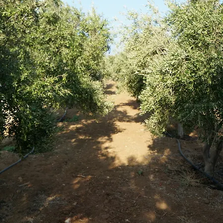 Hotel Pyrgaki Sun & Moon Luxury